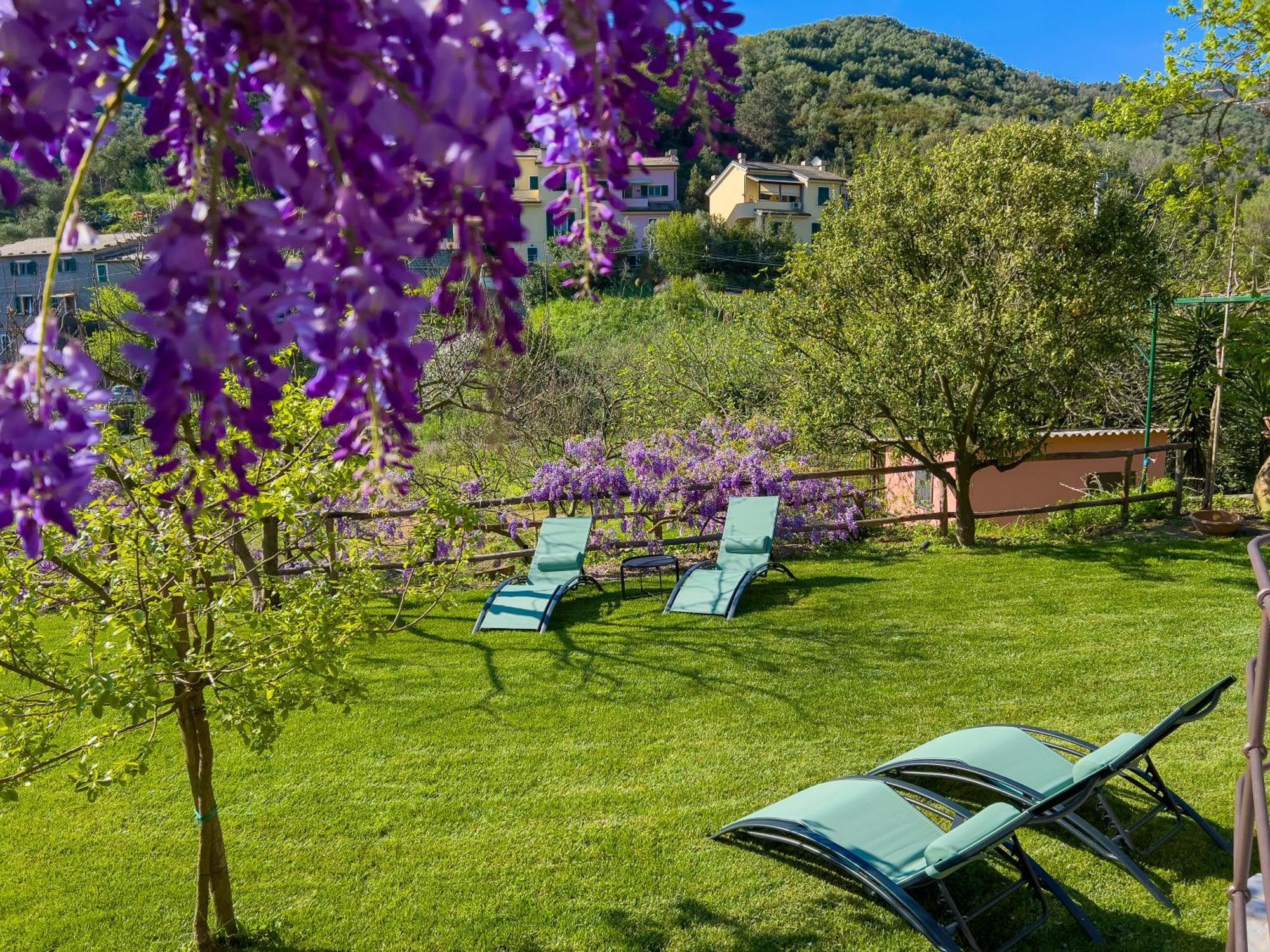 La Casa Dei Glicini Διαμέρισμα Λεβάντο Εξωτερικό φωτογραφία