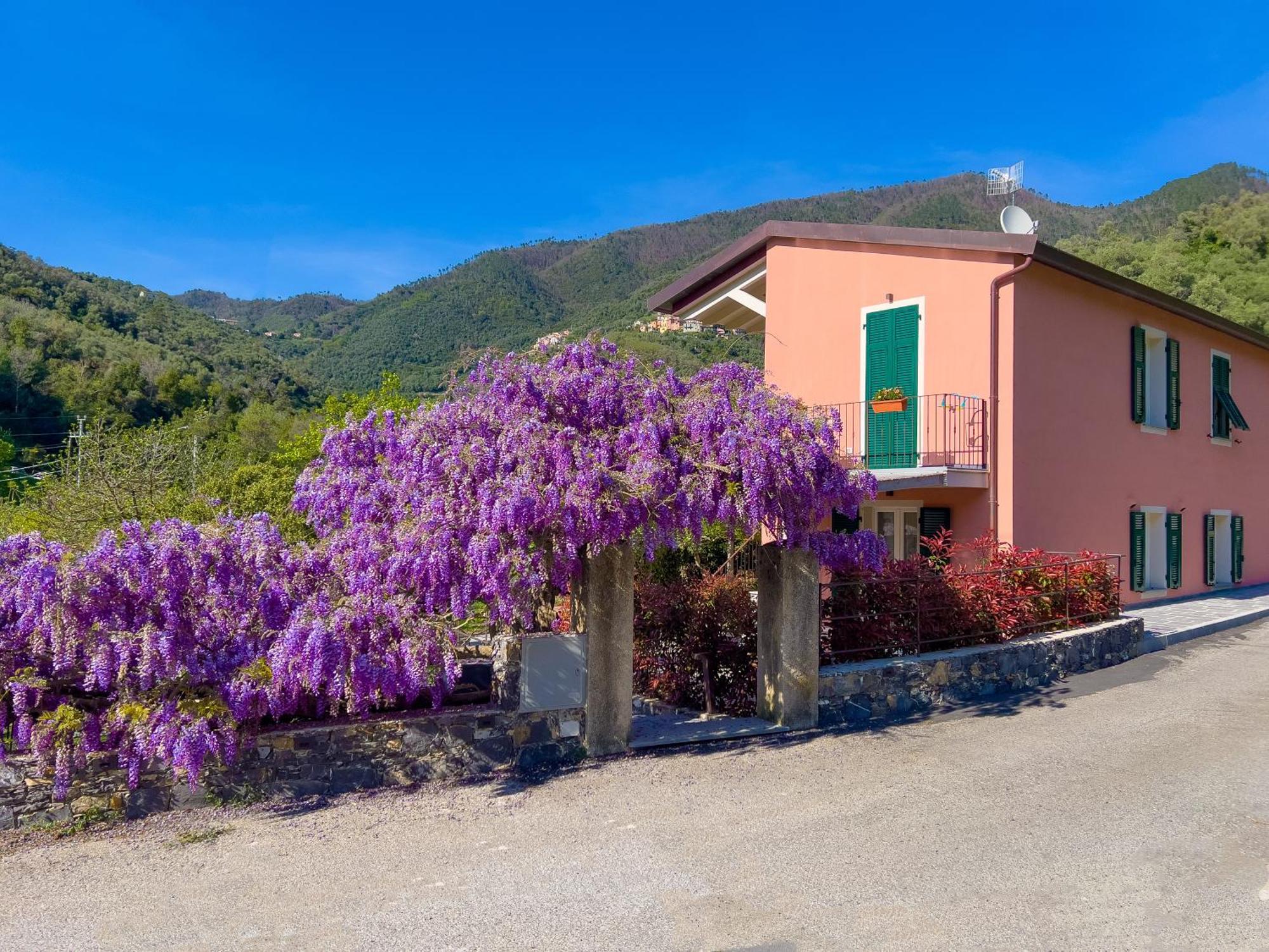 La Casa Dei Glicini Διαμέρισμα Λεβάντο Εξωτερικό φωτογραφία