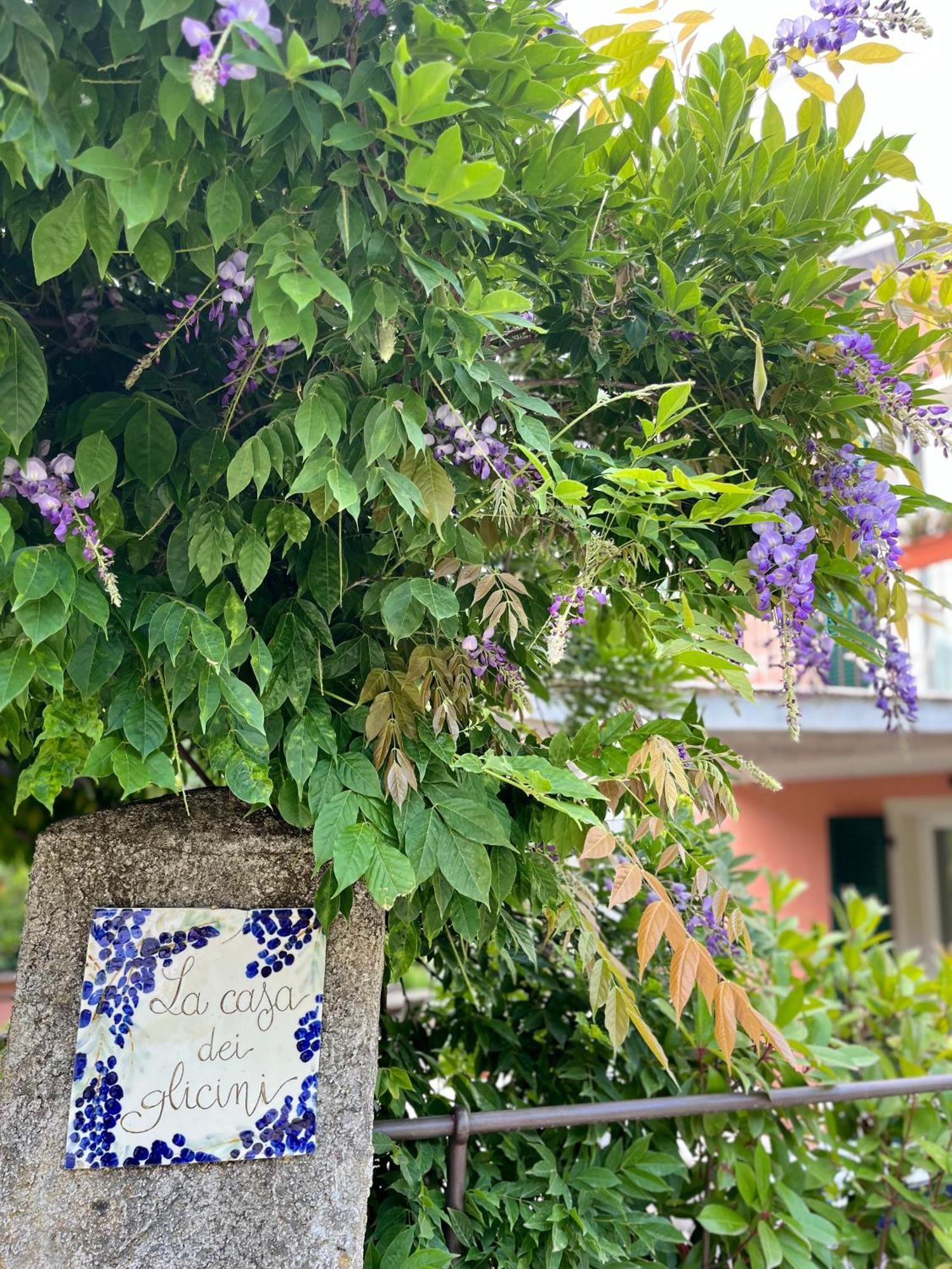La Casa Dei Glicini Διαμέρισμα Λεβάντο Εξωτερικό φωτογραφία